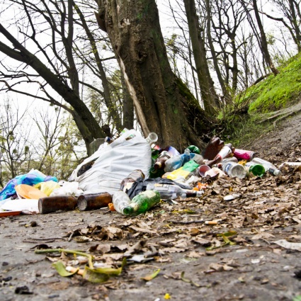 «Contro i rifiuti abbandonati serve più umorismo che rimproveri»