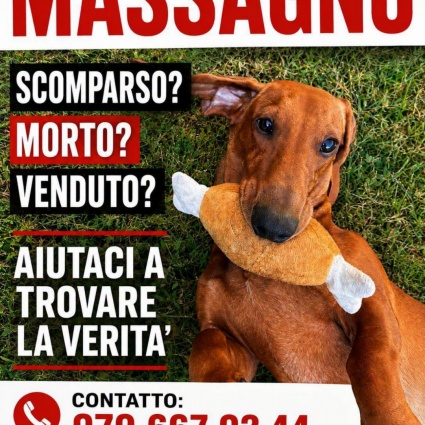 Dov’è finito Rufus? Undici giorni di ricerche e un racconto che non convince