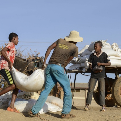 El Niño rischia di sconvolgere l'Etiopia e i suoi 4,6 milioni di abitanti