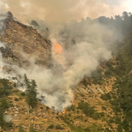 Incendio in Valle Verzasca, in fumo quasi tre ettari di bosco