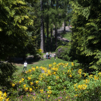 1,4 milioni per il Parco San Grato di Carona