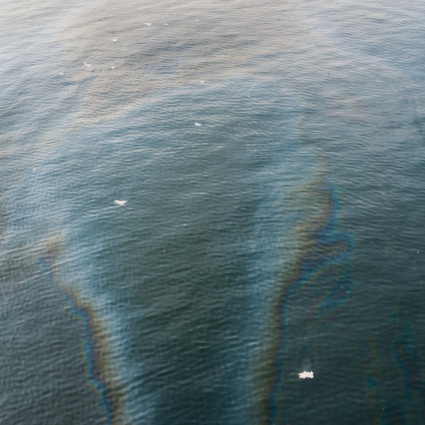 Una fuoriuscita di petrolio minaccia una riserva naturale