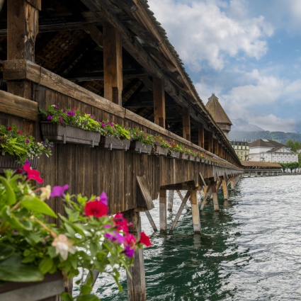 Falsi allarmi a raffica sul ponte di Lucerna: la colpa è di alcuni ragnetti
