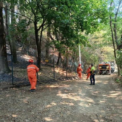 Rogo sul Monte Goi, s'indaga per incendio boschivo colposo
