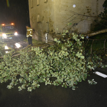 Albero cade sulla strada cantonale a Ludiano