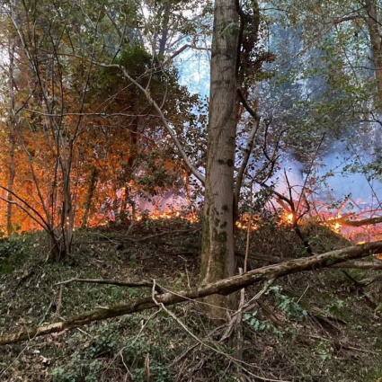 Sul monte devastato dalle fiamme, per un selfie