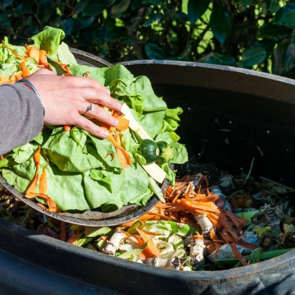 Una settimana per la lotta allo spreco alimentare in Svizzera