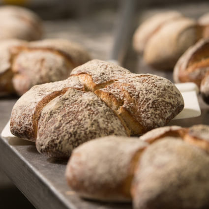 Pane e biscotti sotto la lente del Laboratorio cantonale. Ecco cosa è emerso