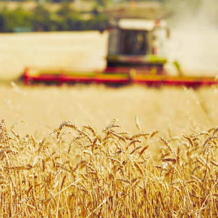 Politica agricola 2030: tagli per oltre 120 milioni