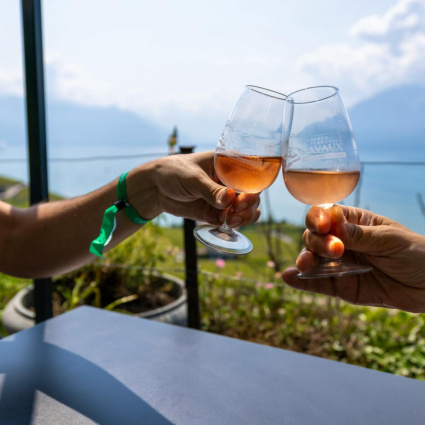 Vino zuccherato illegalmente, sanzionate due cantine