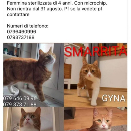 Avete visto Gyna?