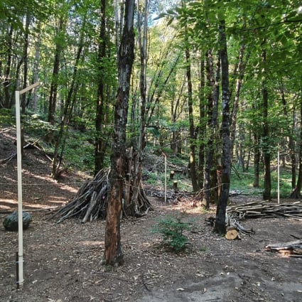 "Aula nel Bosco", c'è il sostegno cantonale