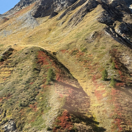 Caduta fatale nel Vallese