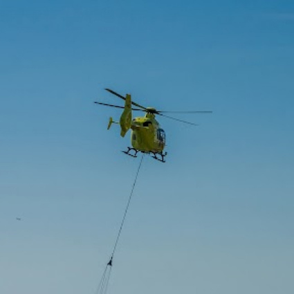 Cervo ucciso e portato via dall'Italia in volo: è un affare tutto ticinese