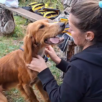 Coco è stato ritrovato: il video