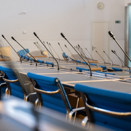 Zali, il caso approda in Parlamento