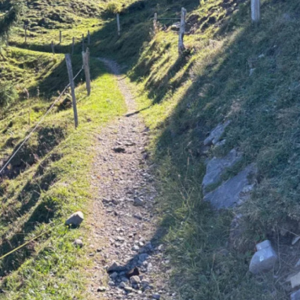 Esce dal bike trail con l'e-bike, muore un 75enne
