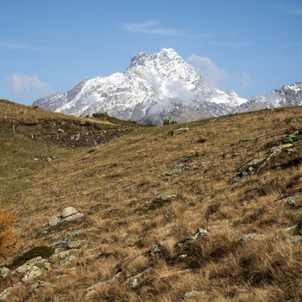 Vasta frana sul Monviso, si cerca un escursionista