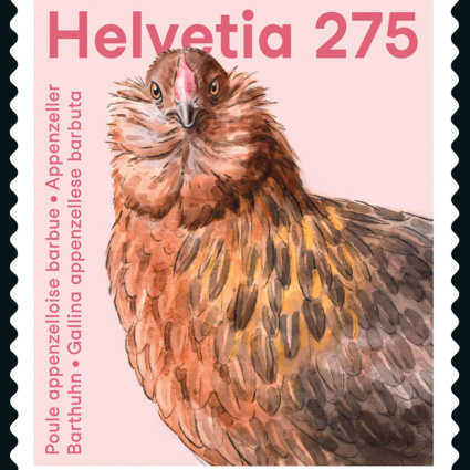 La gallina barbuta fa capolino sui francobolli