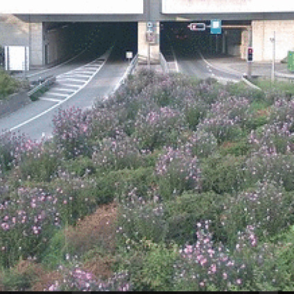 A13 a Tenero, moto a terra: chiusa la galleria Mappo-Morettina