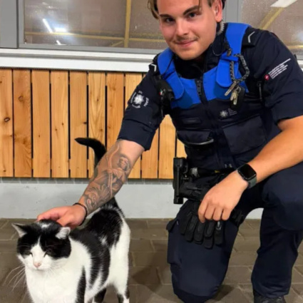 Jonny, più di un gatto: quasi un doganiere