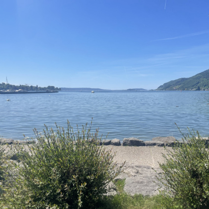 La palla finisce nel lago, lui va a recuperarla e muore
