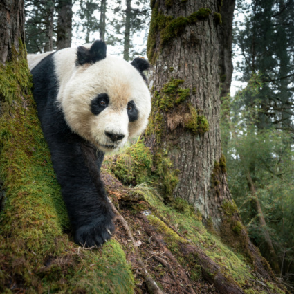 La World Press Photo Exhibition fa ritorno a SpazioReale