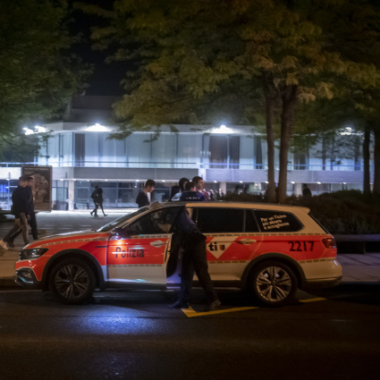 «Lugano è il Bronx solo sui social»