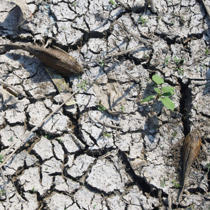 El Niño sarà diverso dai precedenti