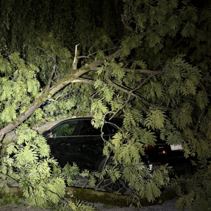 Notte di maltempo tra alberi caduti e imbarcazioni rovesciate
