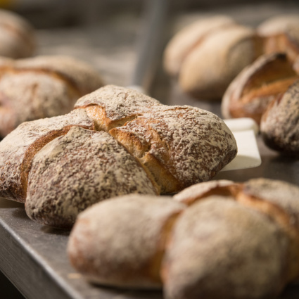 Pane ticinese, l'esame 2026 premia qualità e tradizione