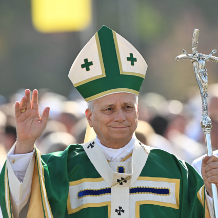 Papa Leone XIV: «La vita non si elimina, si accompagna con tenerezza»