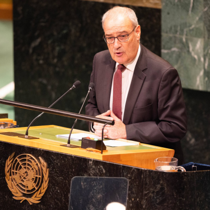 Parmelin mette in guardia da un'escalation nel Golfo
