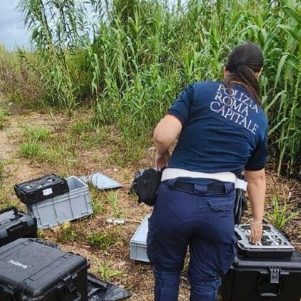 Rubano apparecchiature mediche a un'azienda svizzera, poi le abbandonano in un prato