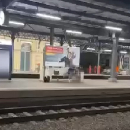 Sono morti il pudore e la decenza