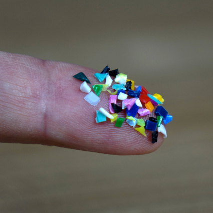Ogni anno 219 tonnellate microplastiche nel suolo svizzero