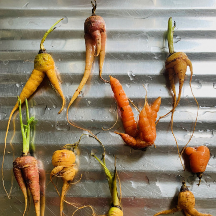 Torna il Salva Cibo Festival, e il banchetto lo preparano due chef