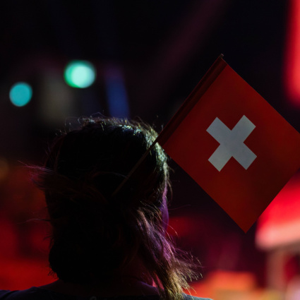 «L'UDC non è più radicale dell'AfD in Germania»