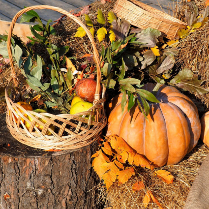 È tempo di sfidarsi a colpi di zucca