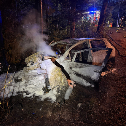 Auto contro un albero e poi le fiamme: quattro giovani sono gravi