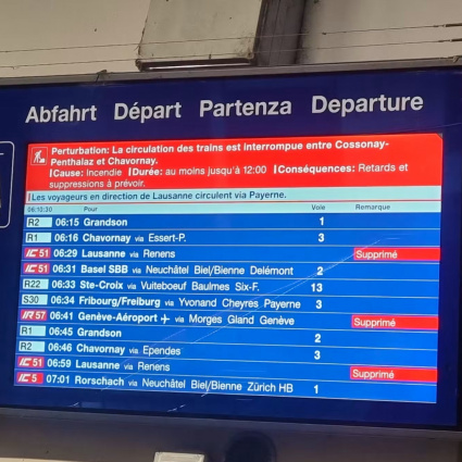 Rogo in una canalina per cavi: traffico ferroviario in tilt