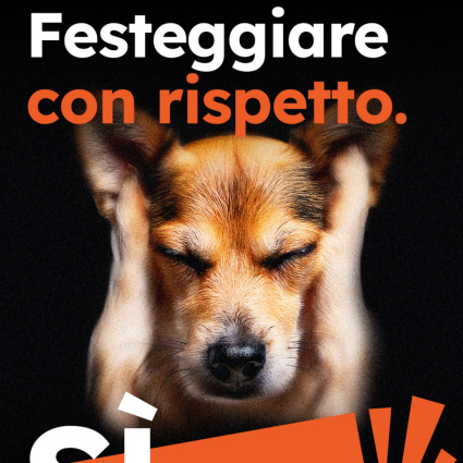 Iniziativa sui fuochi d'artificio, i promotori lanciano la campagna