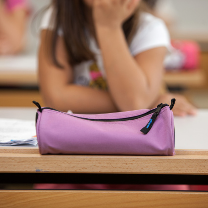 «Indottrinamento a scuola», i Giovani UDC lanciano la "Scuola neutrale"