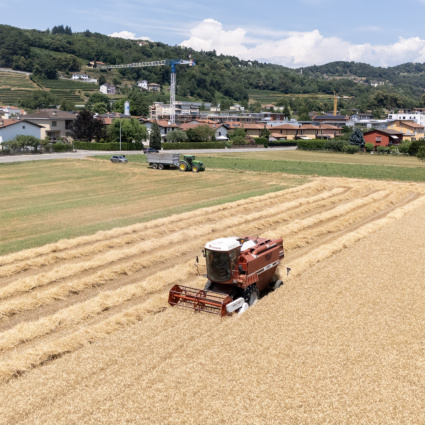 Apprendisti agricoli fino a 51,5 ore: il PC chiede chiarimenti al Governo