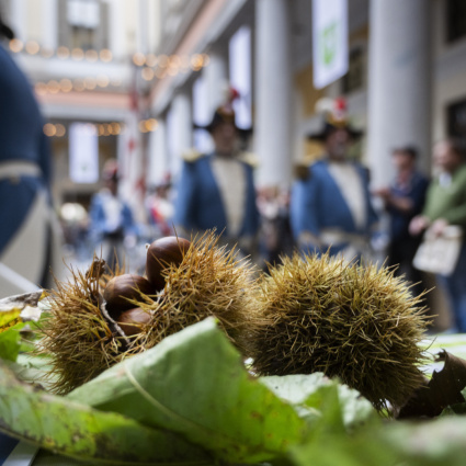 Festa d'autunno, lungolago chiuso al traffico nel weekend