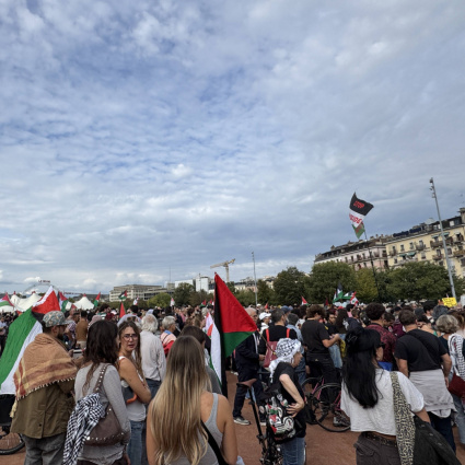 In piazza per la Palestina: proteste, tensioni e atti vandalici