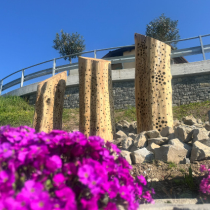 Castel San Pietro e Coldrerio conquistano il marchio «Città dell'energia Gold»