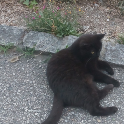 Potrebbe essere bloccata in casa vostra senza che voi lo sappiate