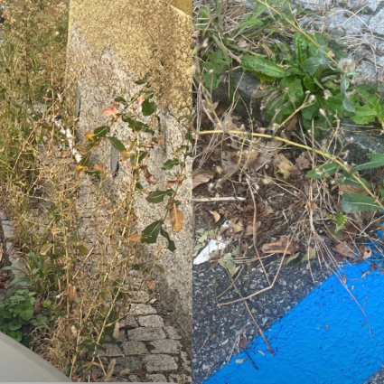 Ma un operaio comunale esiste ancora nel Quartiere di Gorduno?