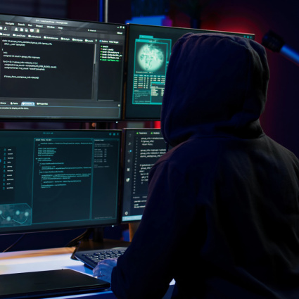 Rischio informatico: il Cantone corre ai ripari e disattiva alcuni servizi online